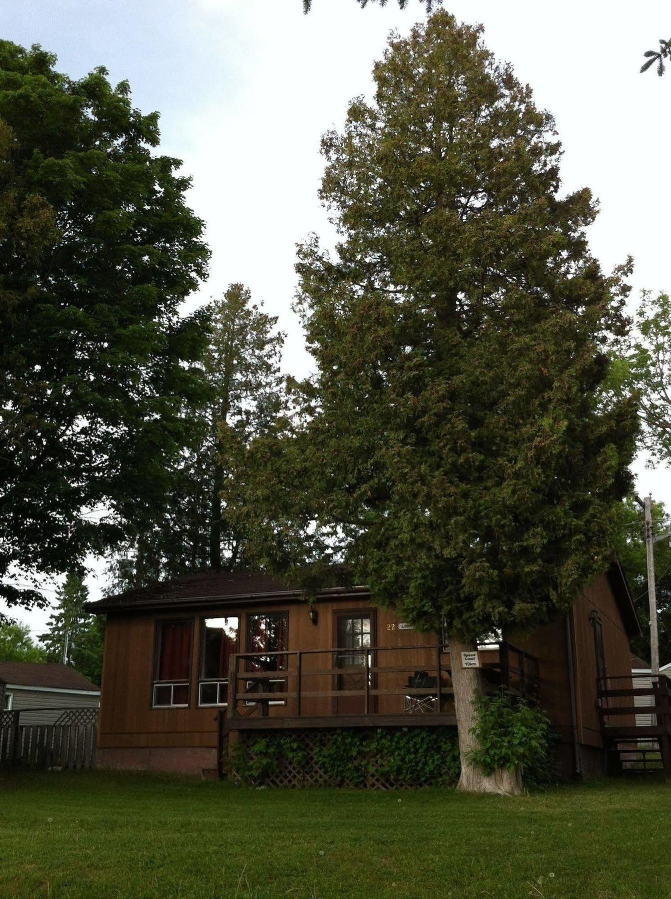 Lake Dalrymple Resort Lagoon City Exterior foto